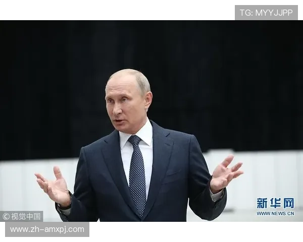 新普京官方首页详细介绍普京的政治生涯与未来发展规划