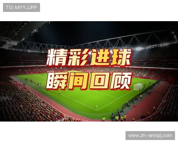 新普京足球官网网址安全可靠访问指南，助你轻松进入足球精彩世界