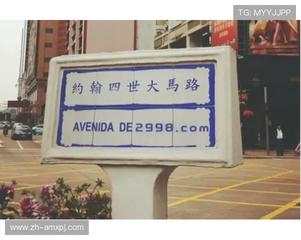 新葡京中文站：全面介绍新葡京中文站的特色与优势