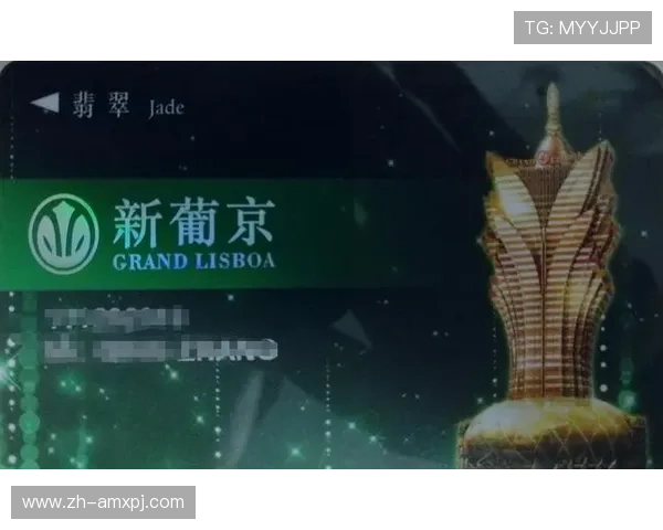 新葡京娱乐网娱乐app提供专业的客服支持，确保玩家在使用过程中获得及时的帮助与指导