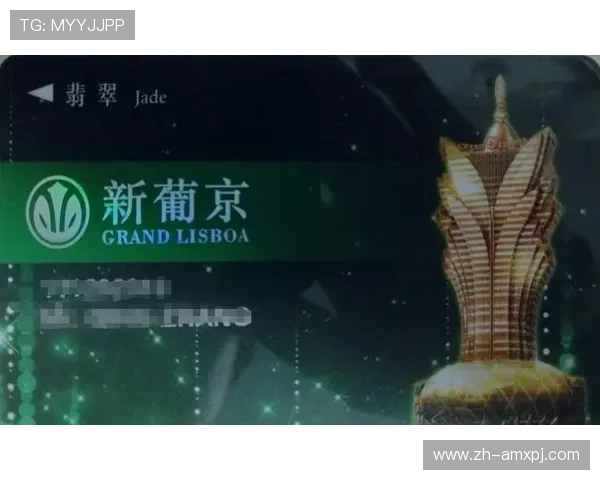 澳门新葡京手机官方地址最新入口，安全稳定的登录体验全方位保障